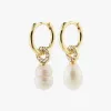 Pilgrim Baker Freshwater Pearl EOL Gold Plated Earrings