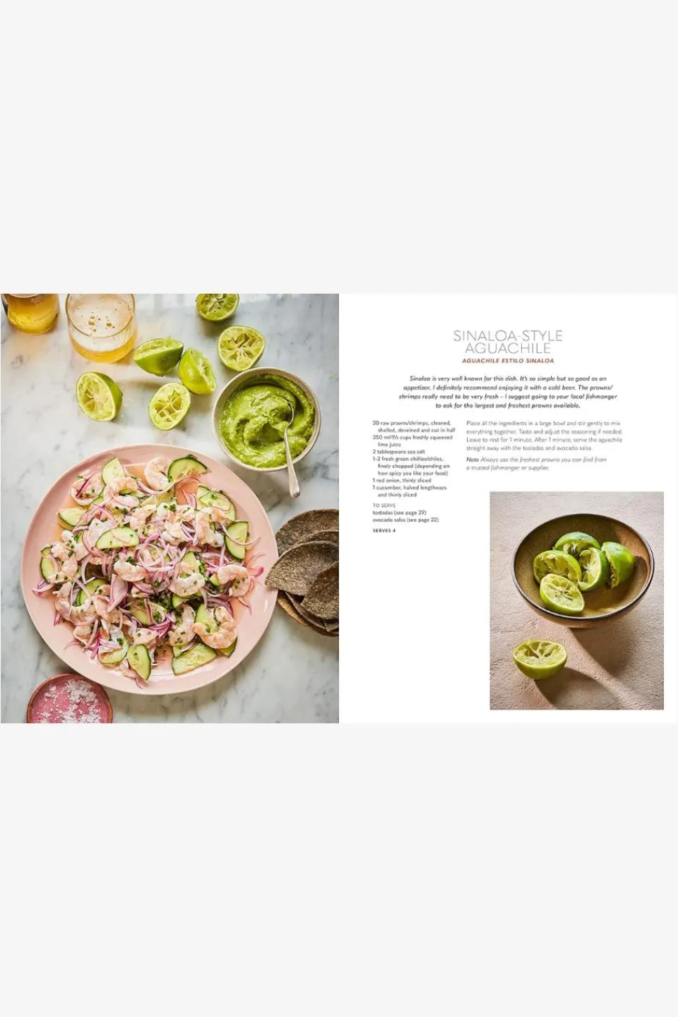 Bookreps NZ Cocina Mexicana