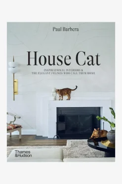 Flying Kiwi House Cat