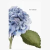 Father Rabbit Hydrangea A5 Notebook