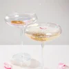 Home Lab Iridescent Champagne Coupe Glass Set 4