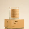 Paddywax Mood Joy Misted Lime 226g Glass Candle