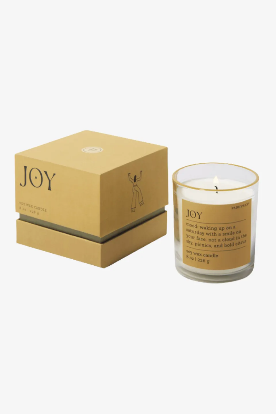 Paddywax Mood Joy Misted Lime 226g Glass Candle