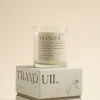 Paddywax Mood Tranquil Lush Palms 226g Glass Candle