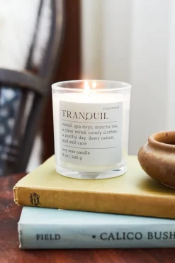 Paddywax Mood Tranquil Lush Palms 226g Glass Candle