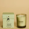 Among the Brave Oasis Honeysuckle + Jasmine 60g Soy Candle