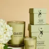 Among the Brave Oasis Honeysuckle Jasmine 250g Soy Candle