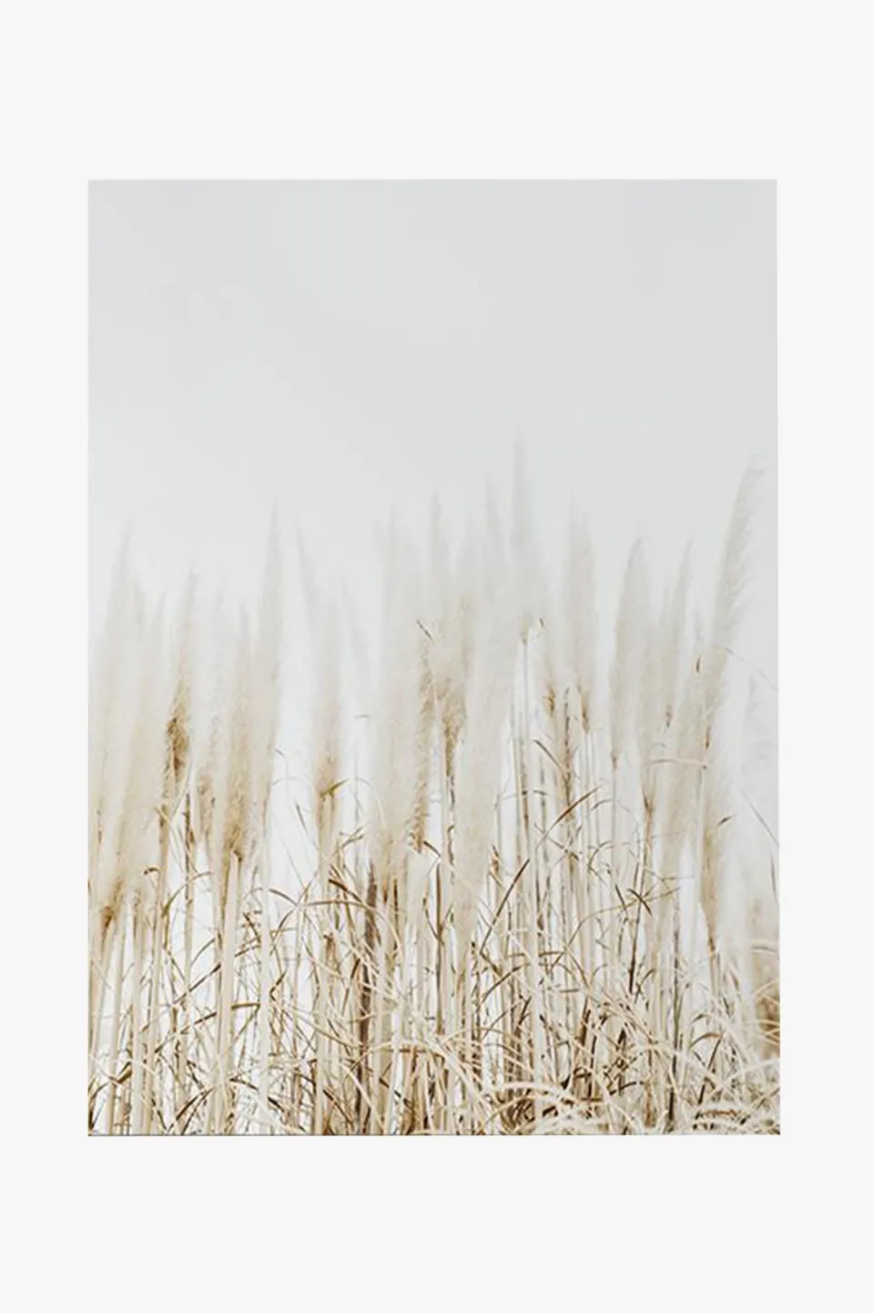 Papier HQ Pampass Grass Natural Framed A2 Print