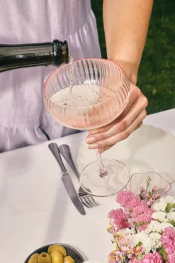 Willow u0026 Mae Pink Ripple Wide Champagne Wine Glass