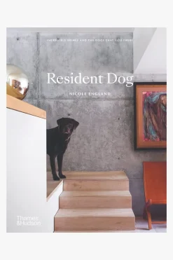 Flying Kiwi Resident Dog (Compact Edition)