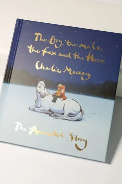 Flying Kiwi The Boy, the Mole, the Fox and the Horse EOL The Animated Story