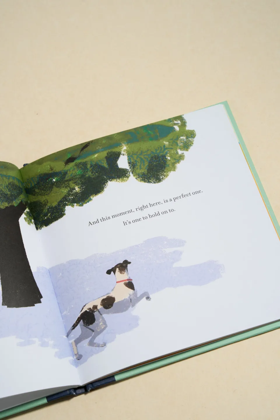 Compendium When You Love A Dog