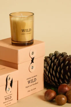 Among the Brave Wild Maple Leaf Woodland 60g Soy Candle